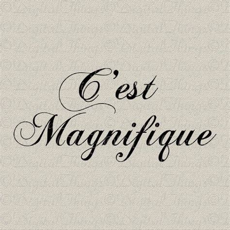 magnifique french to english
